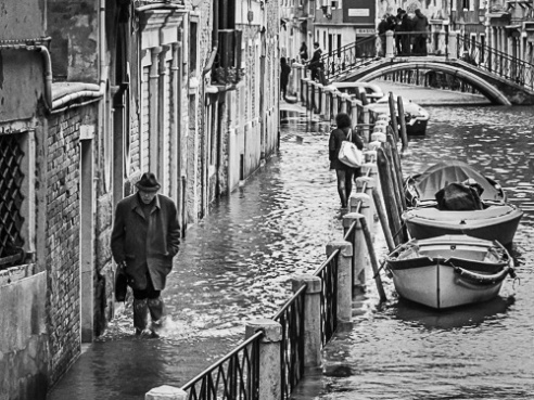  Business as Usual, Venice, Italy, 2015